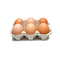 Eggs 6 pack free range