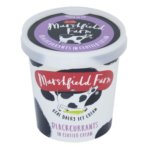 Marshfield Farm Blackcurrant 125ml
