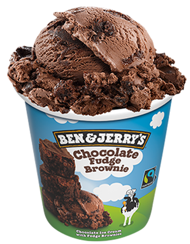 Ben & Jerry's Choc Fudge Brownie