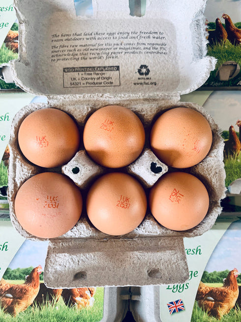 Large Eggs x 6